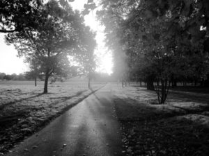 Sunrise over Regents Park London photo of the month