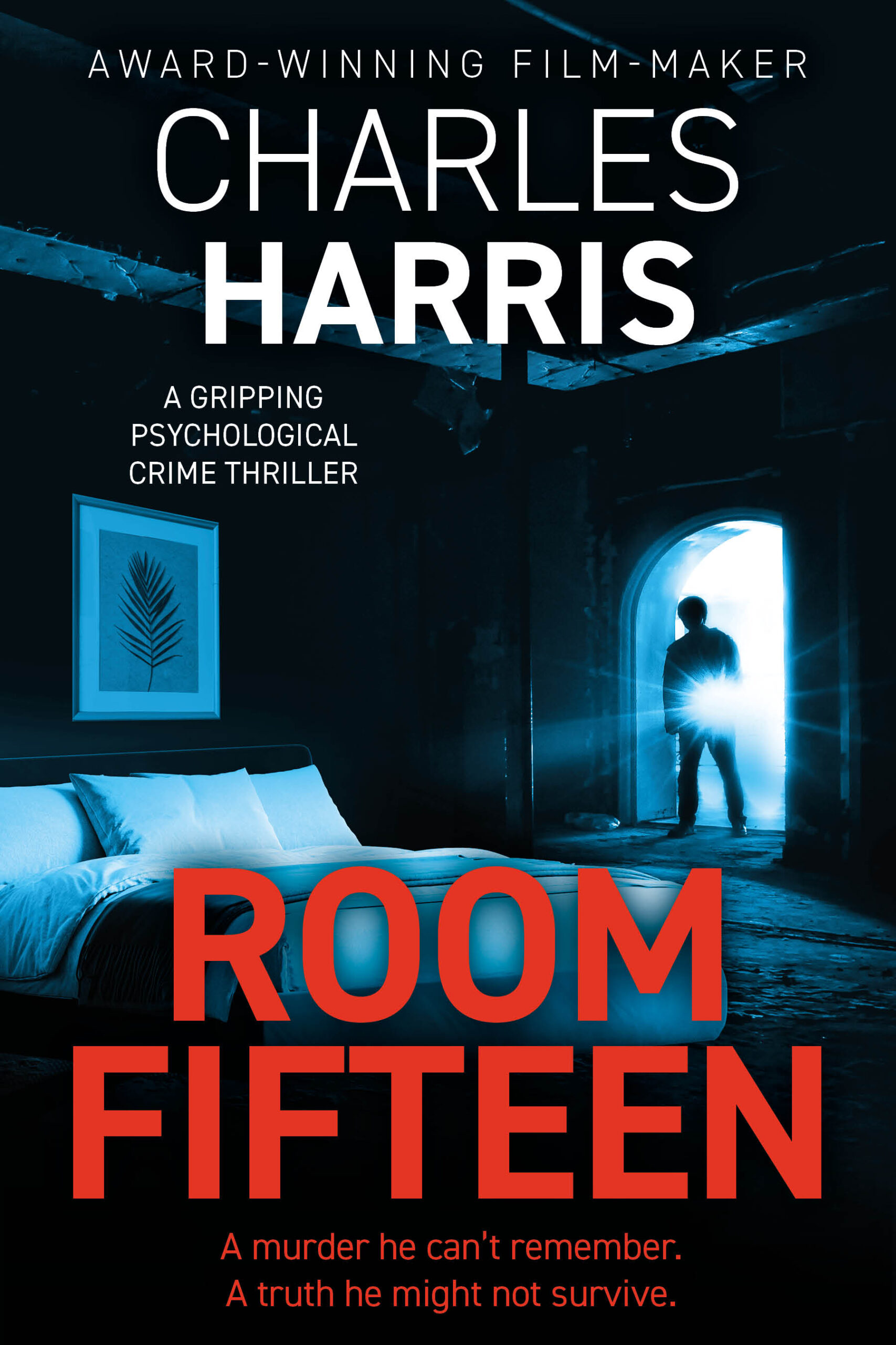 Room 15 cover - man with torch stands in doorway of darkened room - Room 15 in bold lower down